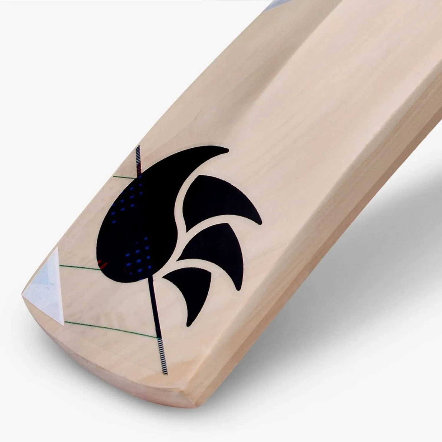 DSC Condor Scud Kashmir Willow Cricket Bat